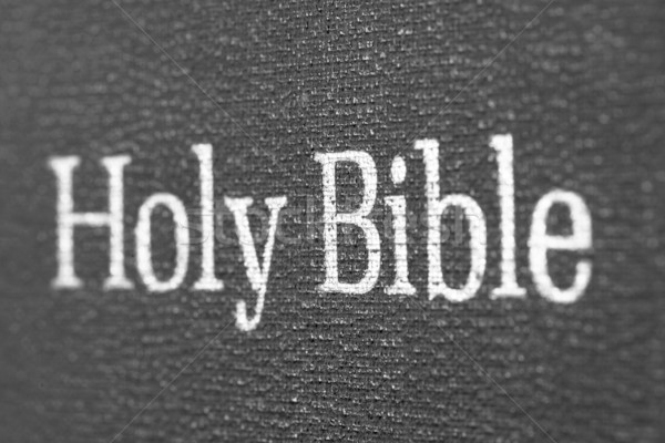 Holy Bible Stock photo © janaka