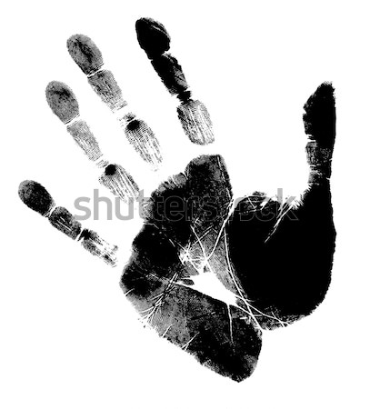 Hand Stock photo © janaka