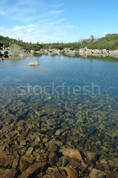 Estanque montanas Polonia República Checa agua verde Foto stock © janhetman