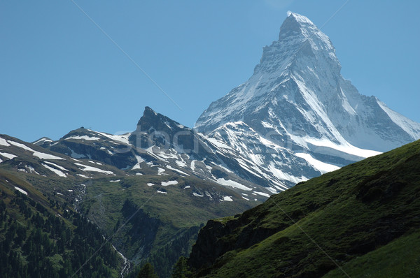 Alpes Suiza árbol hierba nieve Foto stock © janhetman