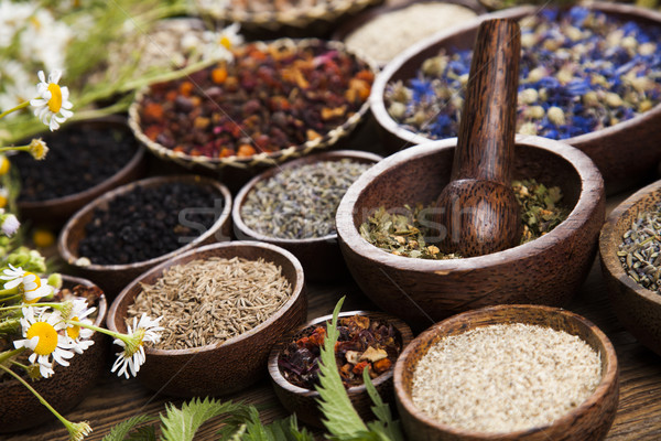 Gyógynövény fa asztal természetes gyógymódok gyógynövények természet szépség Stock fotó © JanPietruszka