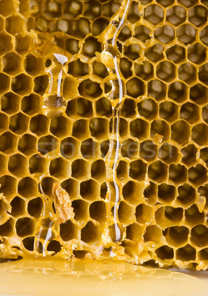Méz vidéki bioélelmiszer méh citromsárga cukor Stock fotó © JanPietruszka
