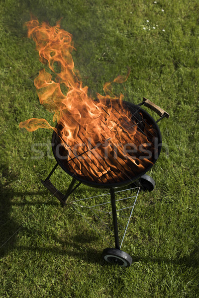 Barbecue grill with fire on nature, outdoor, close up Stock photo © JanPietruszka