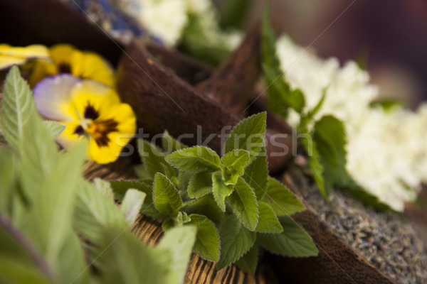 Stock fotó: Természetes · gyógyszer · fa · asztal · természetes · gyógymódok · természet · szépség