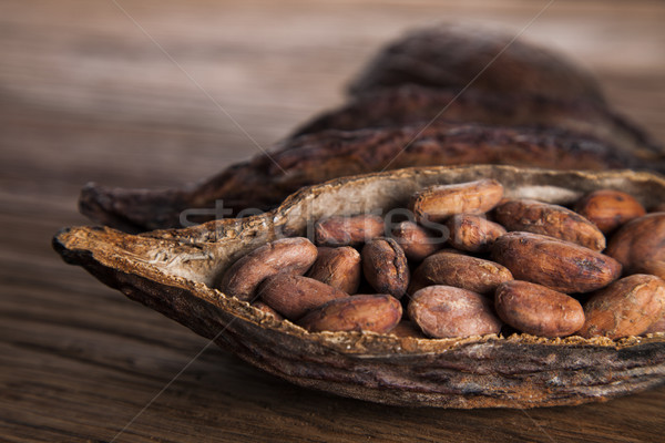 Cacao beans and powder and food dessert background Stock photo © JanPietruszka