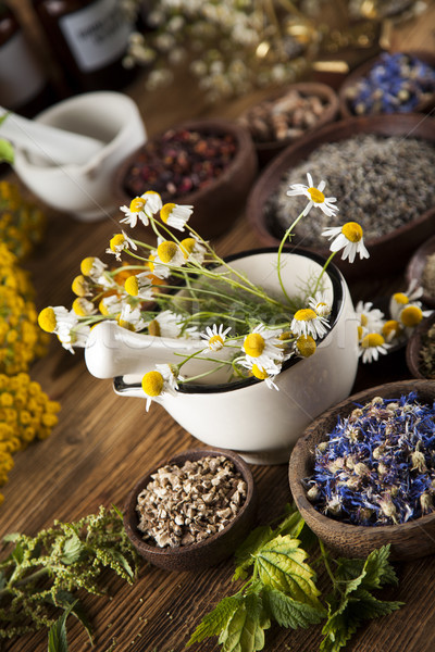 Herbs medicine and vintage wooden desk background Stock photo © JanPietruszka