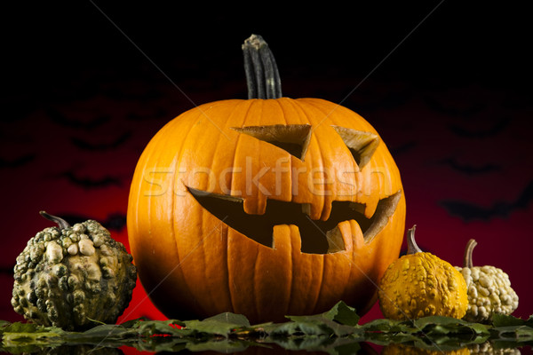 Pumpkins for Halloween  Stock photo © JanPietruszka