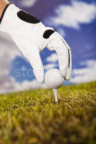Golfball golfe clube pôr do sol gramado estilo de vida Foto stock © JanPietruszka