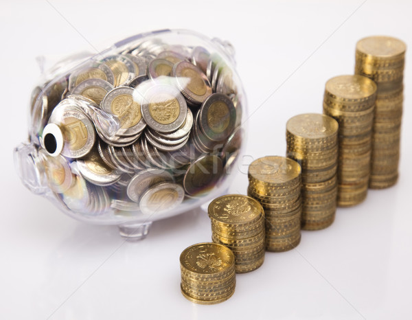 Pig bank and money coin Stock photo © JanPietruszka