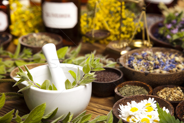 Stock photo: Assorted natural medical herbs and mortar