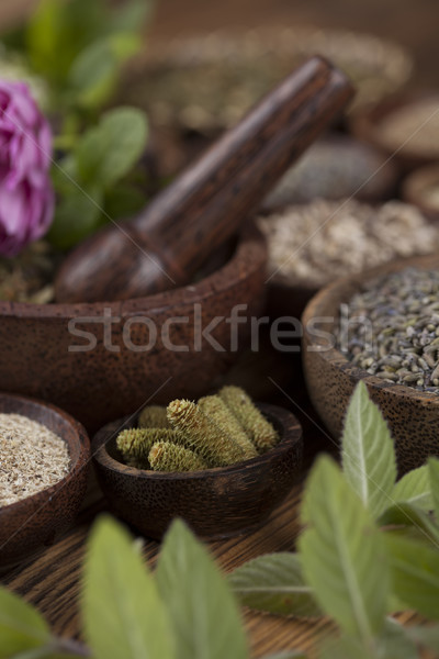 Alternative medicine, dried herbs background Stock photo © JanPietruszka