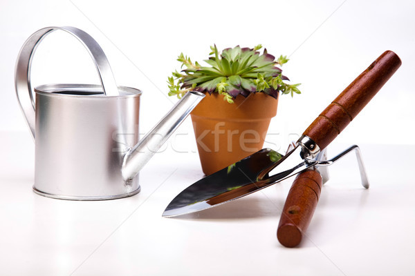Stock photo: Flowers and garden tools on blue sky background