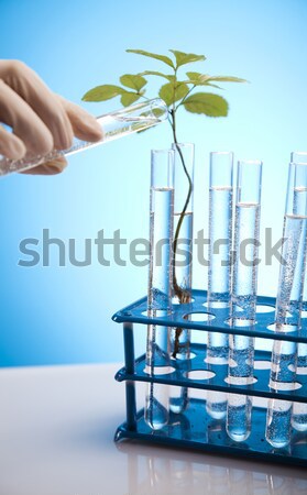 Növény laboratórium természet gyógyszer labor kémia Stock fotó © JanPietruszka