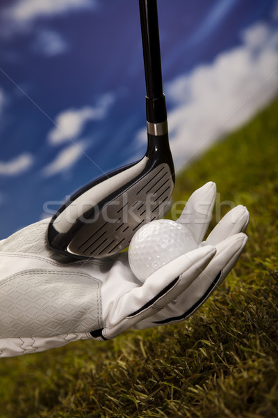 Strony piłeczki do golfa wygaśnięcia trawnik życia łące Zdjęcia stock © JanPietruszka