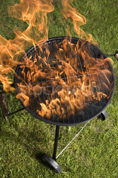 Fire background, grill Stock photo © JanPietruszka