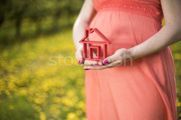 ストックフォト: ホーム · 草原 · 春 · 小さな · 美しい · 妊婦