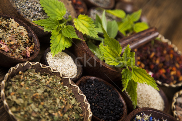 Stok fotoğraf: Alternatif · tıp · kurutulmuş · otlar · doğal · tıbbi · doğa