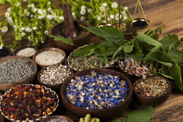 Fresh medicinal herbs on wooden background Stock photo © JanPietruszka
