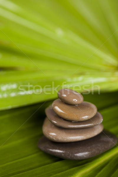 Stock photo: Still life, zen, magical ambient atmosphere theme