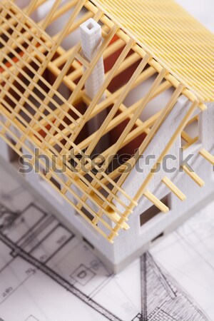 Building Home  Stock photo © JanPietruszka