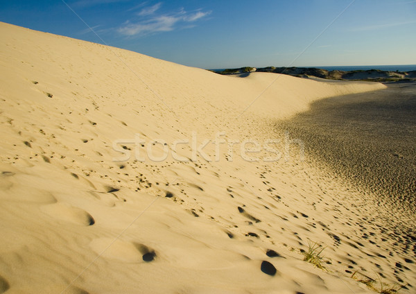 Sand Dunes, pure nature beautiful landscape Stock photo © JanPietruszka