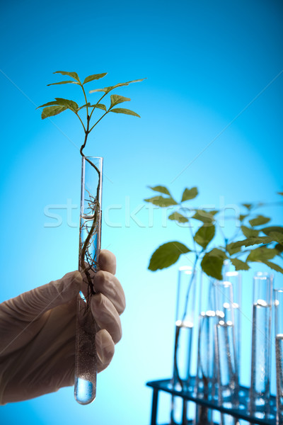 Chemical laboratory glassware equipment, ecology  Stock photo © JanPietruszka