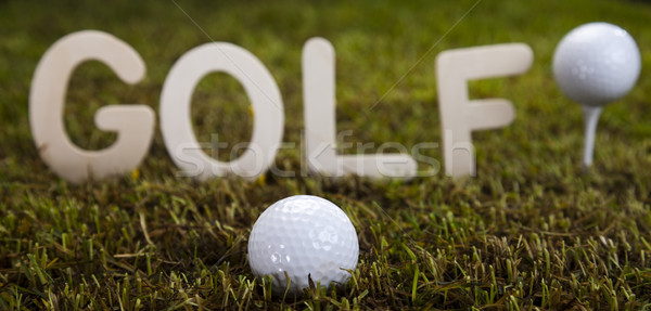 Golf klub piłka trawy wygaśnięcia trawnik Zdjęcia stock © JanPietruszka