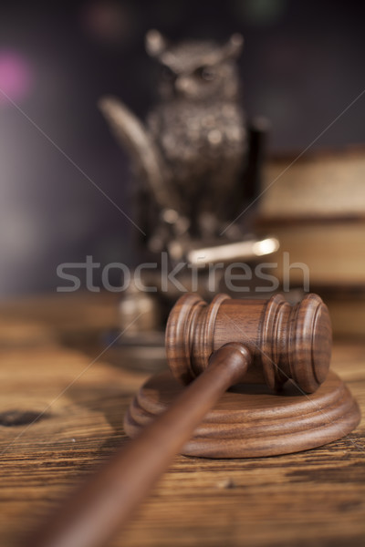 Law concept, owl in a judge gavel concept  Stock photo © JanPietruszka