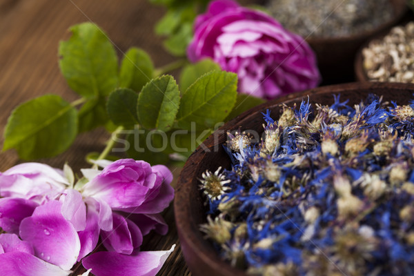 Foto stock: Medicina · alternativa · secas · ervas · naturalismo · médico · natureza