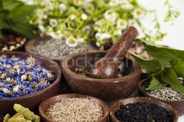 Stock fotó: Természetes · gyógymódok · fa · asztal · gyógynövény · természet · szépség · gyógyszer