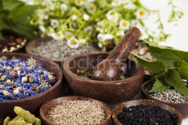 Natural medicine, wooden table background Stock photo © JanPietruszka