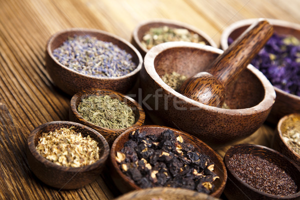 Assorted natural medical herbs and mortar Stock photo © JanPietruszka