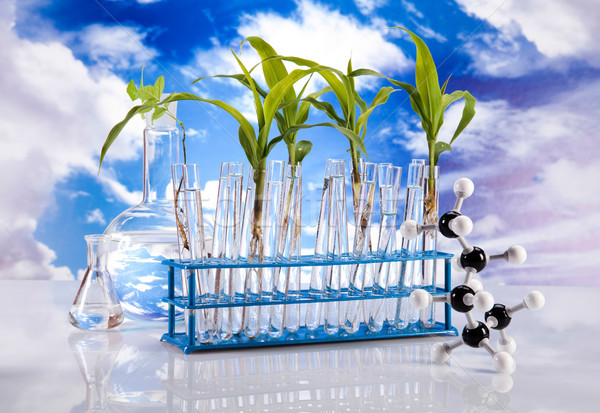 商業照片: 化學 · 實驗室 · 玻璃器皿 · 生物 · 有機 · 現代
