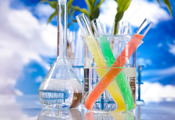 Laboratórium üvegáru felszerlés kísérleti növény orvosi Stock fotó © JanPietruszka