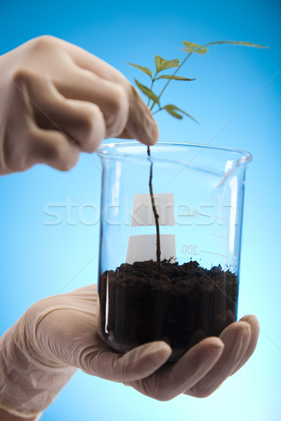 Floral science in  laboratory  Stock photo © JanPietruszka