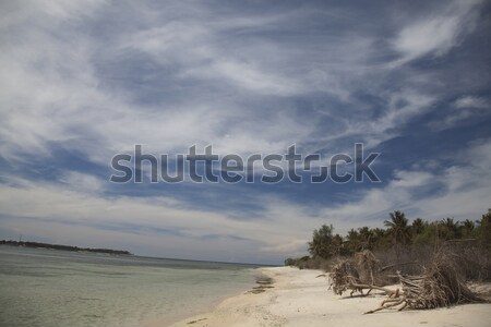 Sea and coastlines of Gili Air, Indonesia Stock photo © JanPietruszka