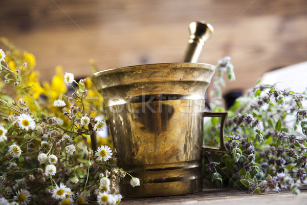Assorted natural medical herbs and mortar Stock photo © JanPietruszka