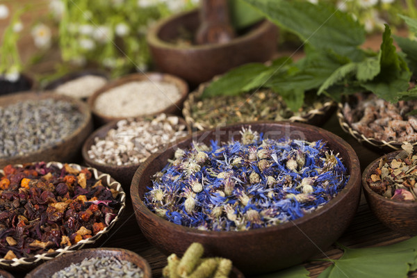 Natural remedy, mortar and herbs Stock photo © JanPietruszka