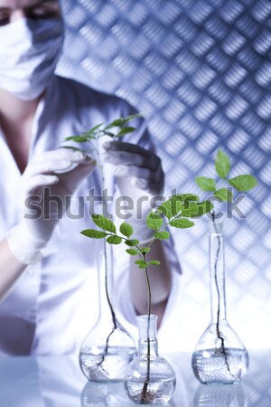Flora laboratorium natuur geneeskunde plant lab Stockfoto © JanPietruszka