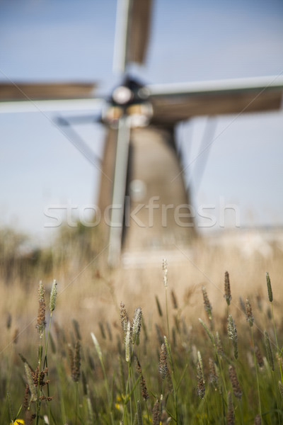 Old windmill, Kinderdijk in netherlands Stock photo © JanPietruszka