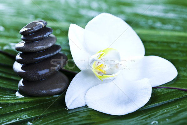 [[stock_photo]]: équilibré · zen · pierres · atmosphère · groupe