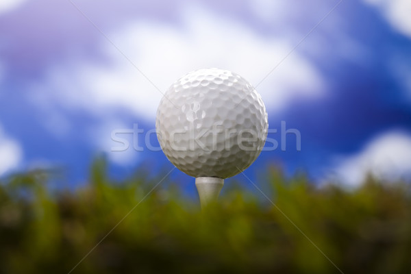 Golf ball on green meadow Stock photo © JanPietruszka