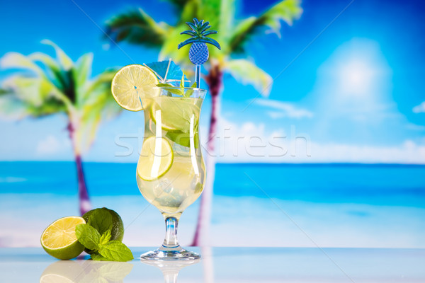 Frischen Mojito trinken exotischen farbenreich Blatt Stock foto © JanPietruszka