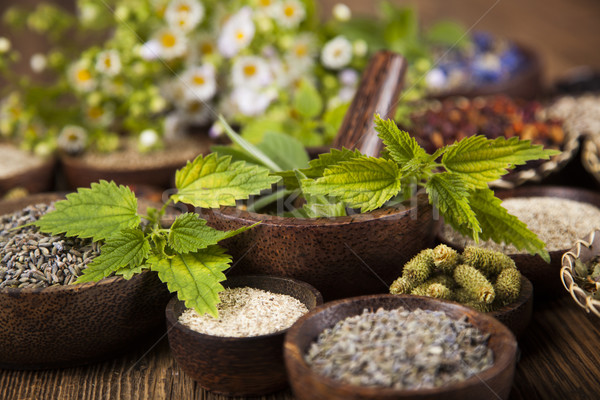 Alternative medicine, dried herbs background Stock photo © JanPietruszka