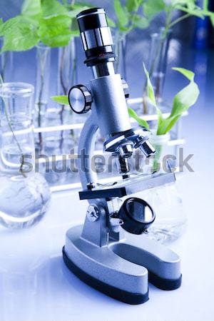 Laboratory glassware, genetically modified plant Stock photo © JanPietruszka