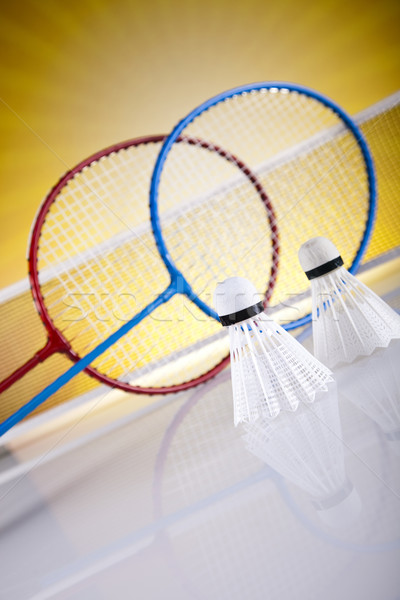 Shuttlecock on badminton racket  Stock photo © JanPietruszka