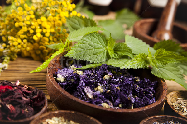 Natural medicine, herbs, mortar, natural colorful tone Stock photo © JanPietruszka
