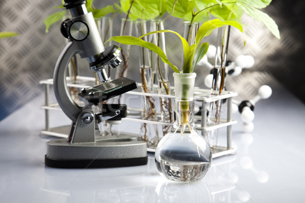 Stockfoto: Biotechnologie · chemische · laboratorium · glaswerk · bio · organisch