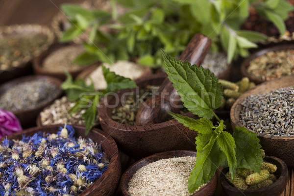 Natural remedy,Herbal medicine and wooden table background Stock photo © JanPietruszka
