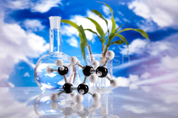 Laboratory glassware, bio organic modern concept Stock photo © JanPietruszka